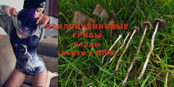 мяу мяу кристалл Покачи