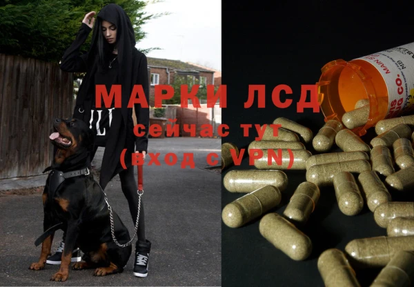 бошки Покров