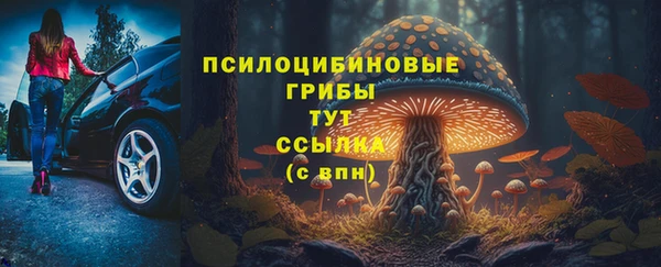 мяу мяу кристалл Покачи