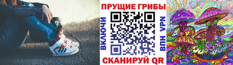 закладки Альметьевск Галлюциногенные грибы Psilocybe