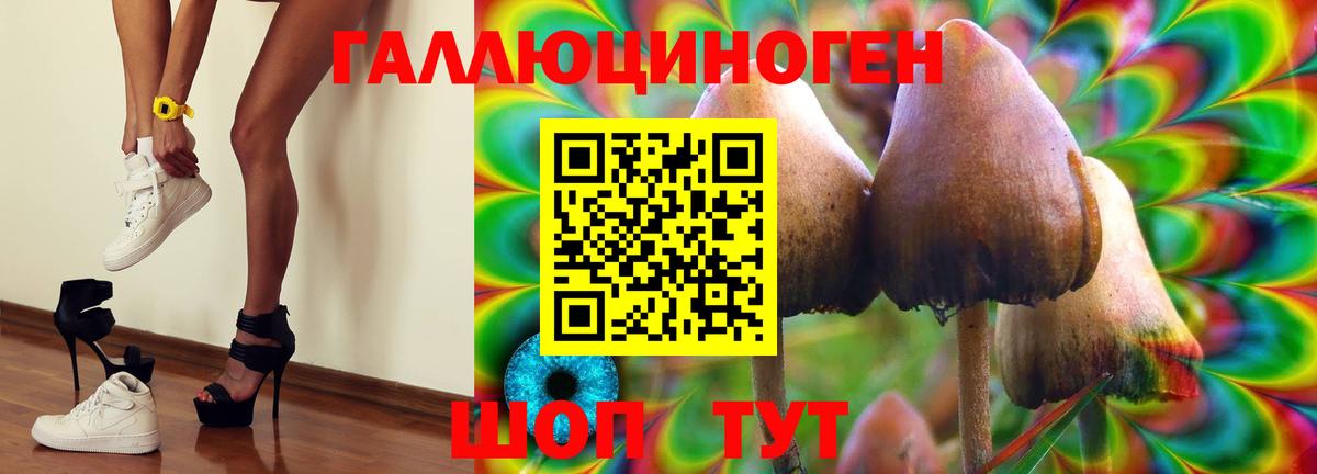 Галлюциногенные грибы прущие грибы Альметьевск