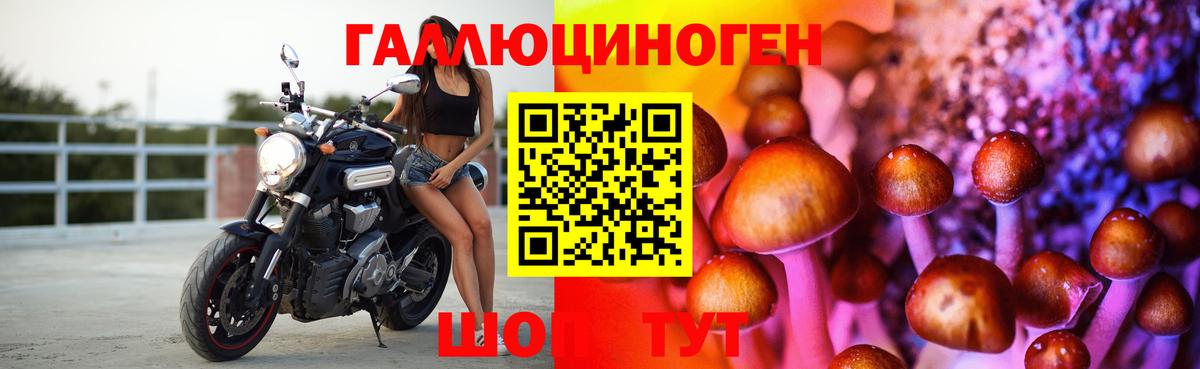Псилоцибиновые грибы Cubensis  Вход с VPN  Альметьевск  Псилоцибиновые грибы MAGIC MUSHROOMS 